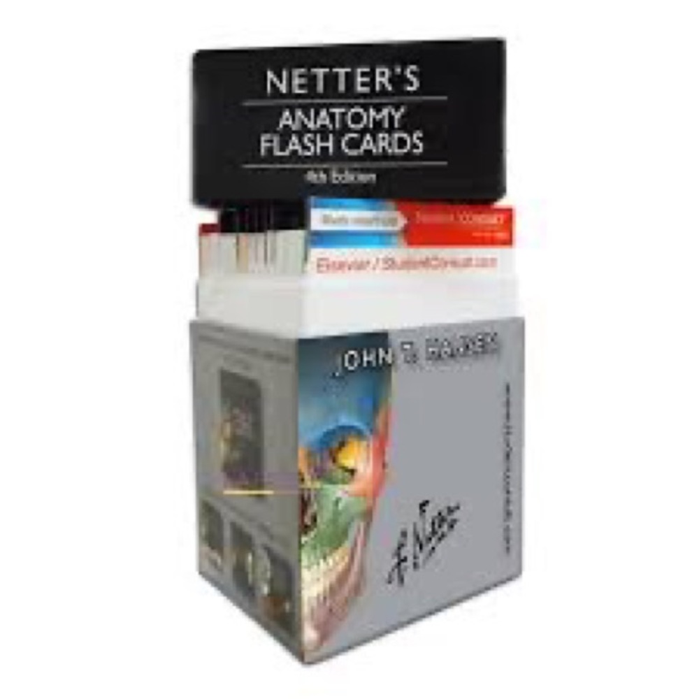 Anatomy Flashcards